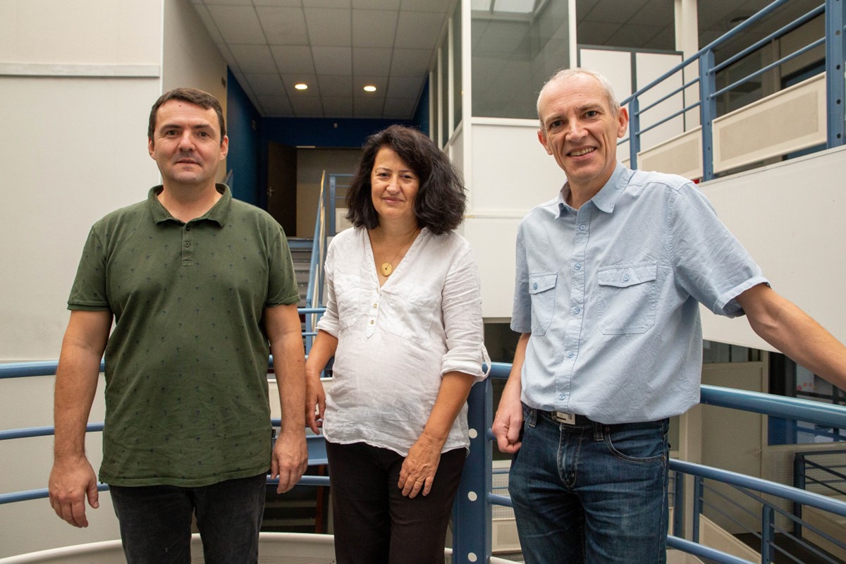 virtuos deepens video game engineering capabilities with the launch of virtuos labs montpellier