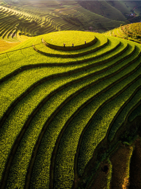 mu cang chai gains its rank in big 7 travels world top destinations