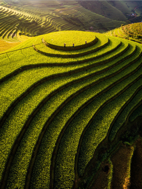 Mu Cang Chai gains its rank in Big 7 Travel's world top destinations