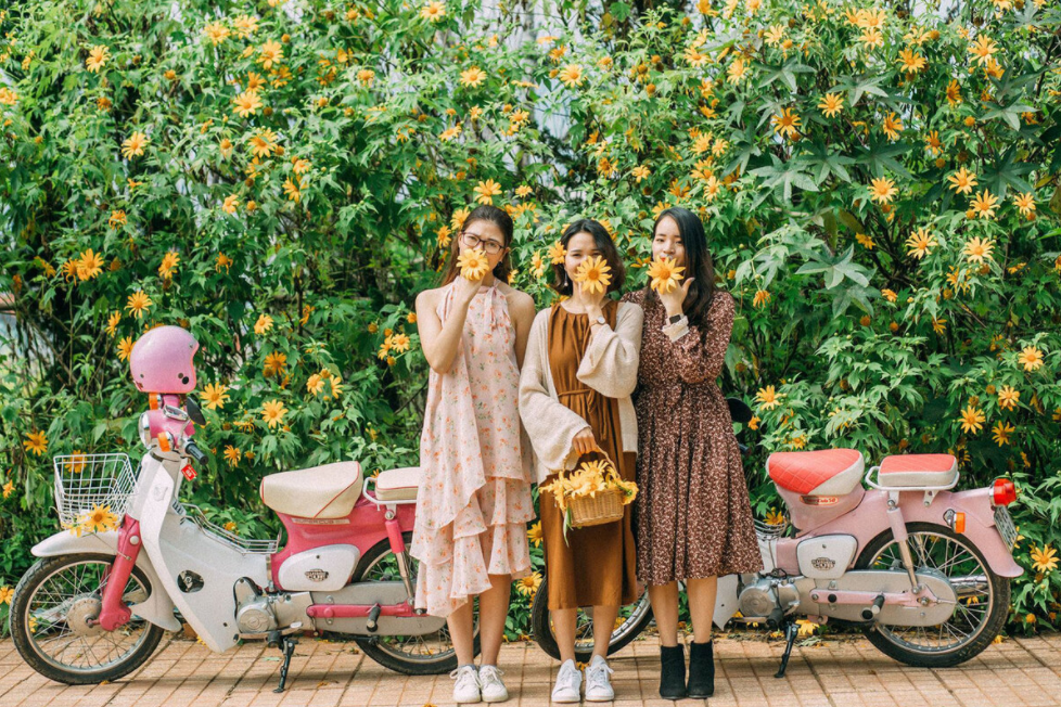 Flocking to Da Lat in the season of wild sunflowers