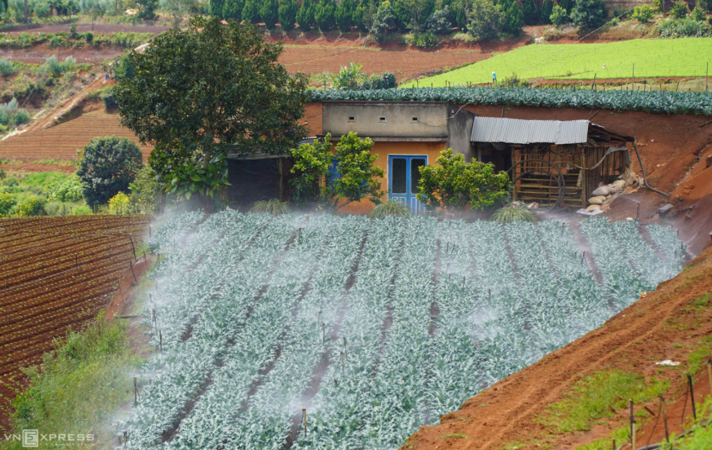 Stunning scenes of Da Lat suburb