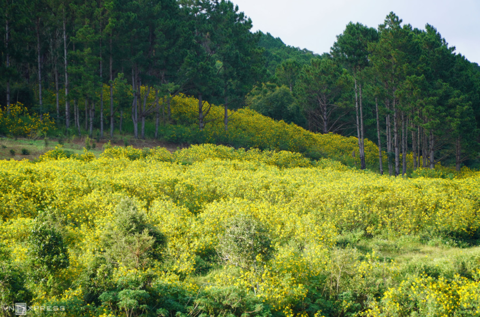 Stunning scenes of Da Lat suburb