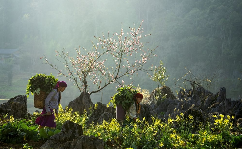 Photo sets of Vietnam's diverse cultures: A fest for the eyes