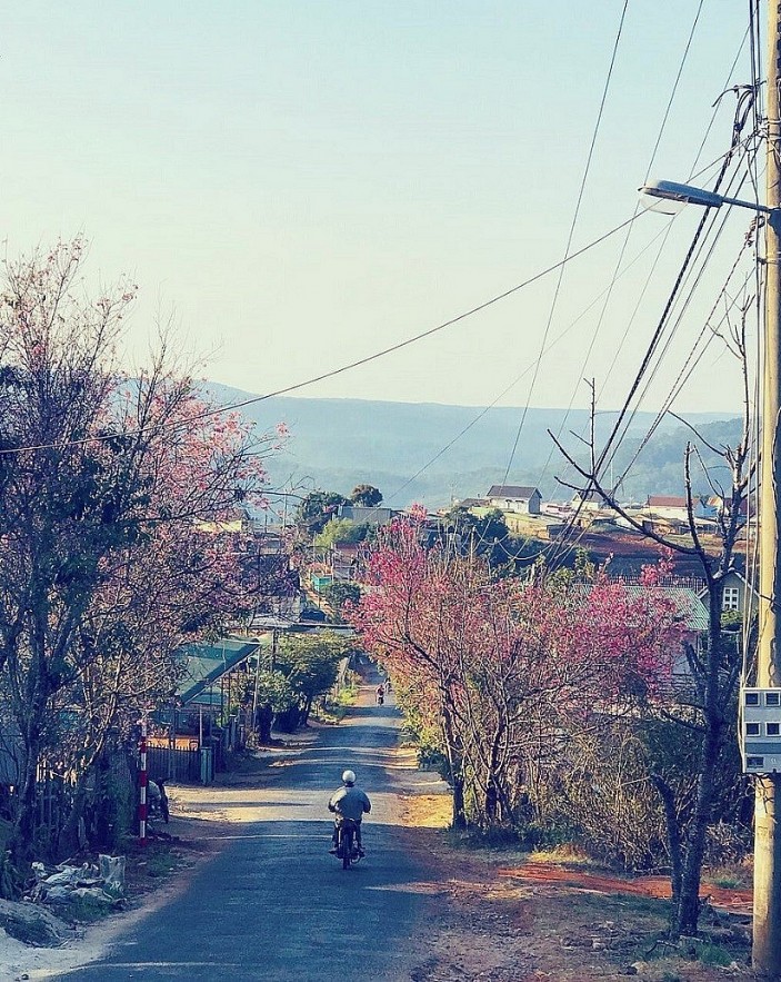 Seven 'Instagramable' Slopes in Da Lat