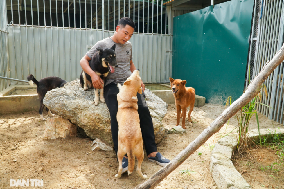 Video: Vietnam's ancient hunting dog breed revived