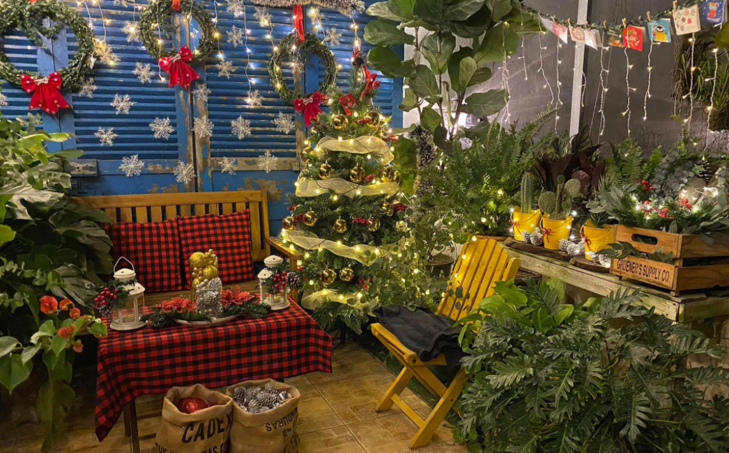 nha trang housewife turns terrace into twinkling christmas themed corner in just 2 days