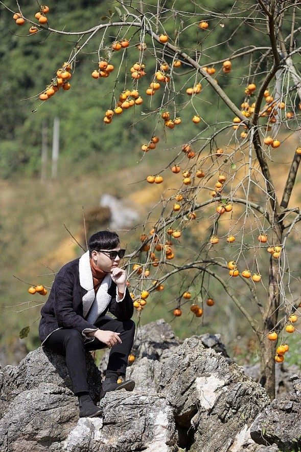 Hunting for Out-of-Season Plum Blossoms in Moc Chau