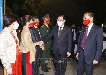 NA Chairman Greets Vietnamese Community in India
