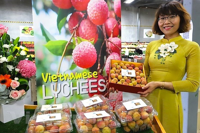 Australia Invests in Assisting Vietnamese Entrepreneurs