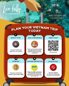 Entry Procedures on Entering Vietnam in March