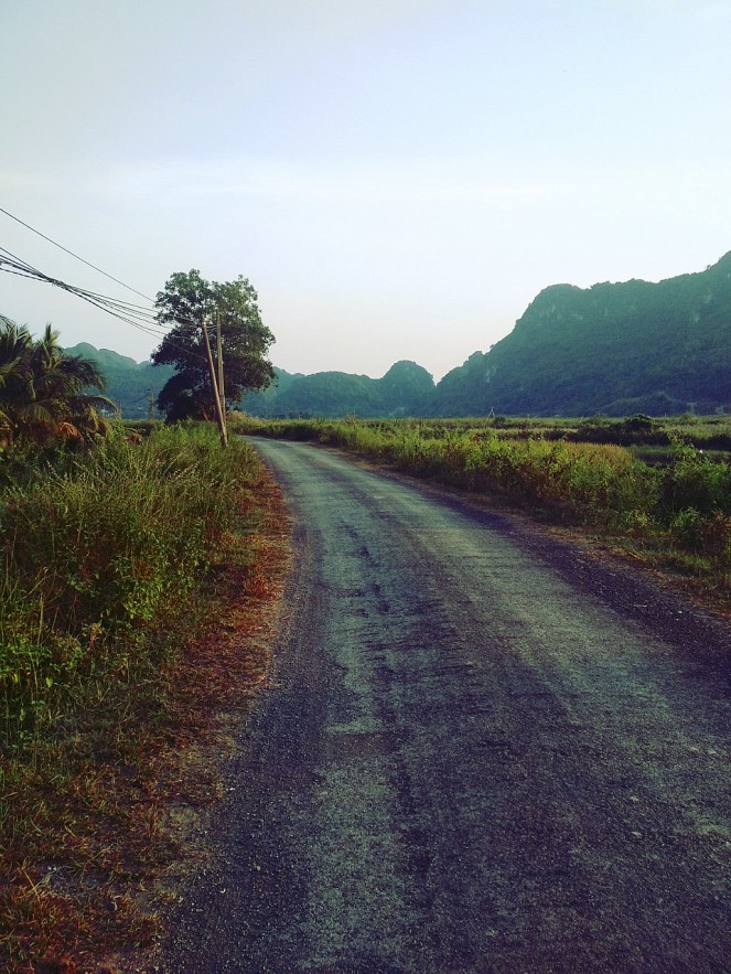 Real Experiences Entering Vietnam Customs by Fellow Expats