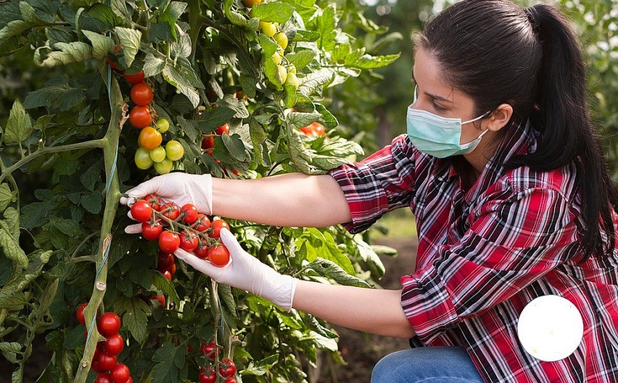 Photo: European Labour Authority