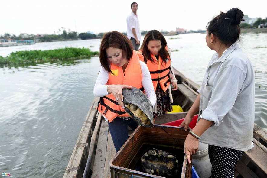 Expats in Ho Chi Minh City Rescue Trafficked Turtles