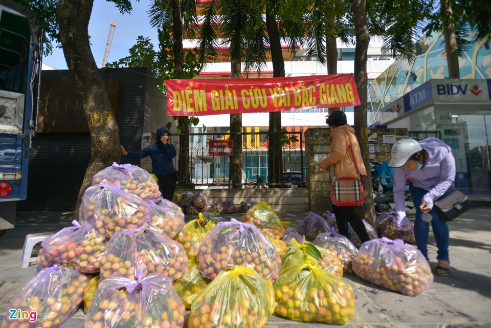hanoians rescue bac giang pandemic hit lychees