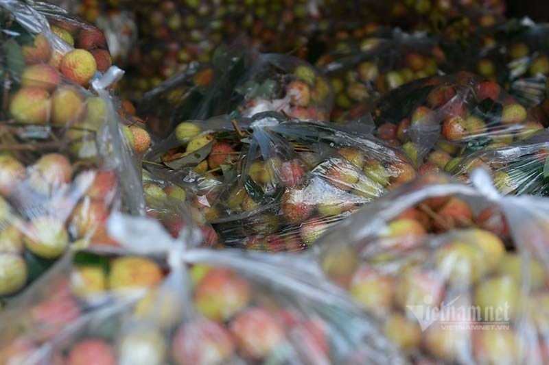 Lychees are sold at VND 200,000 for 10kg available in a plastic bag.