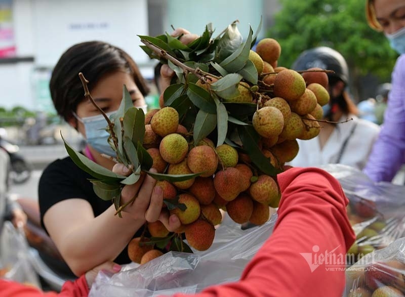 Hanoians ‘rescue’ Bac Giang pandemic-hit lychees