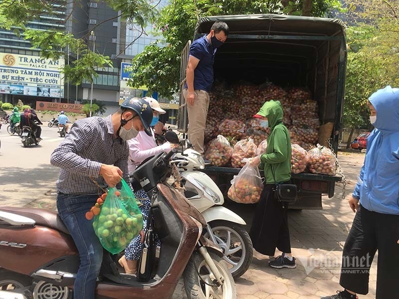 in spite of hot weather, many Hanoians flockes to the streets the rescue lychees.