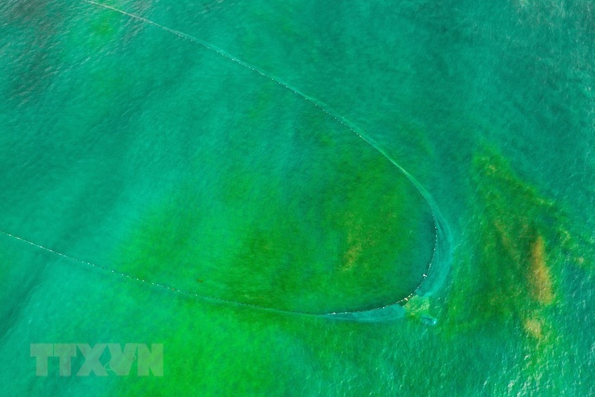 In Photos: Fishermen in Da Nang pull fishing nets by walking backward