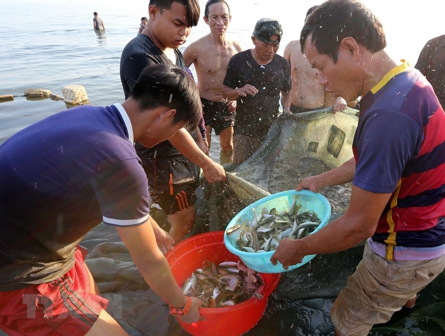 In Photos: Fishermen in Da Nang pull fishing nets by walking backward