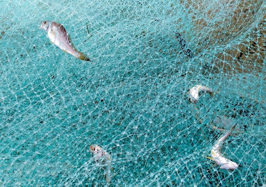 In Photos: Fishermen in Da Nang pull fishing nets by walking backward