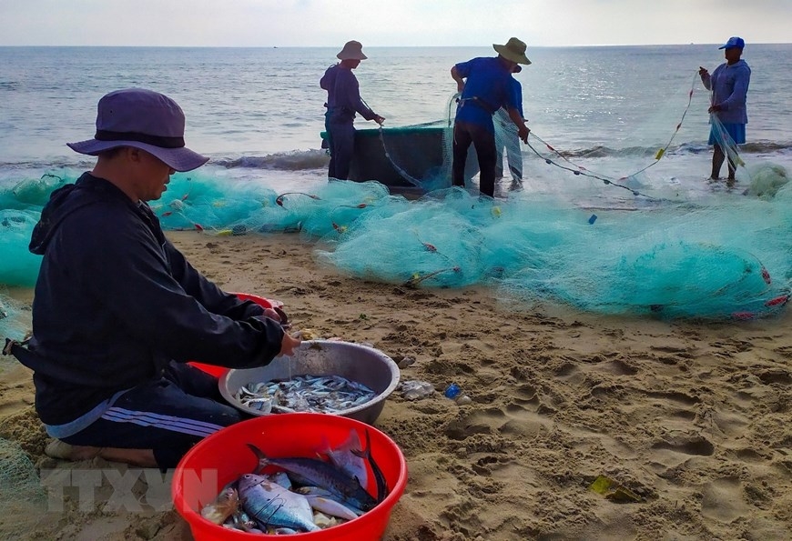 In Photos: Fishermen in Da Nang pull fishing nets by walking backward