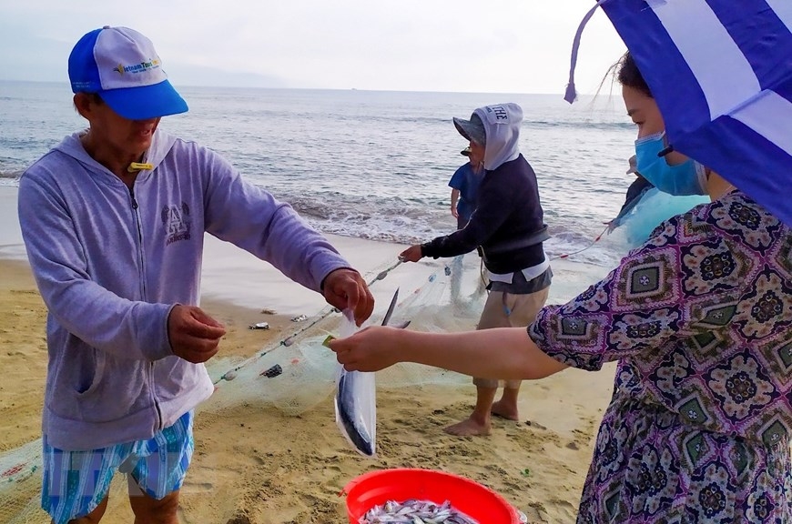 In Photos: Fishermen in Da Nang pull fishing nets by walking backward