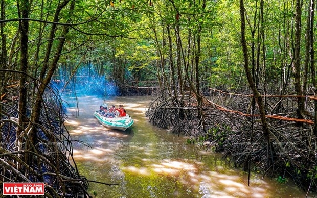 Tourists experience magrove forest ecosystem in Ca Mau (Photo: VNA)