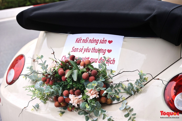 Wedding car decorated with Bac Giang lychees goes viral