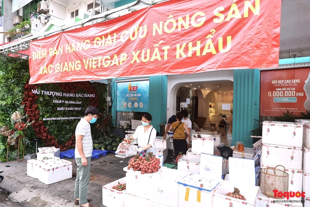 Wedding car decorated with Bac Giang lychees goes viral