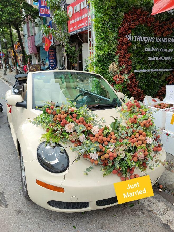 Wedding car decorated with Bac Giang lychees goes viral