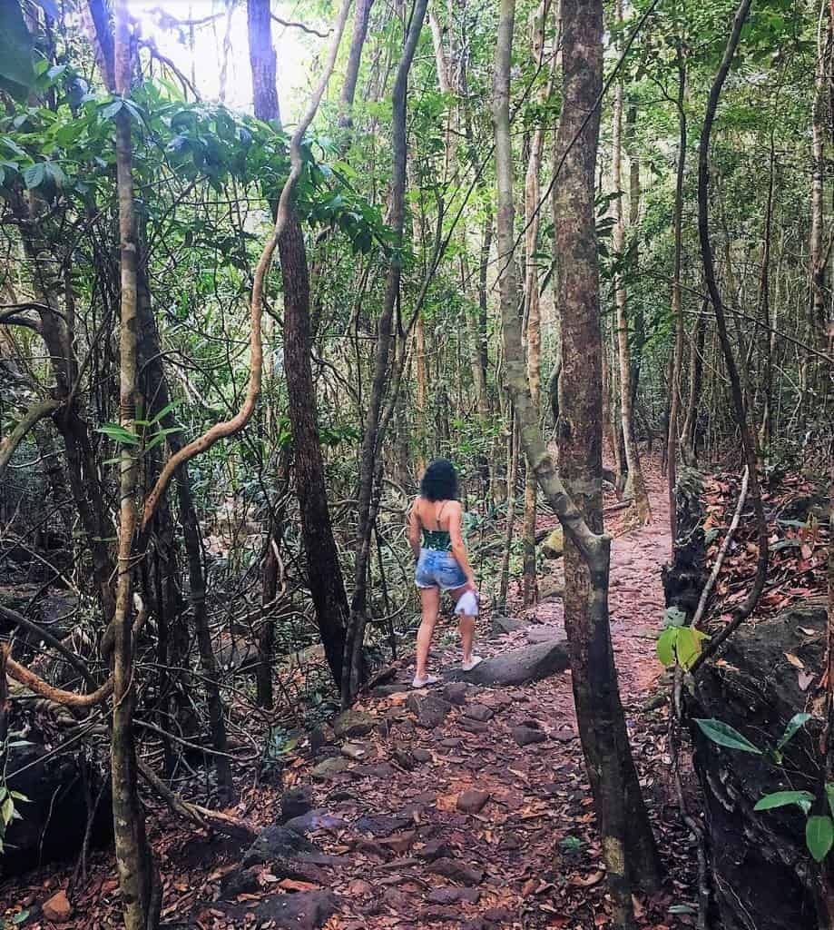 A trekking trail at Phu Quoc National Park.Photo Vietnam Discovery