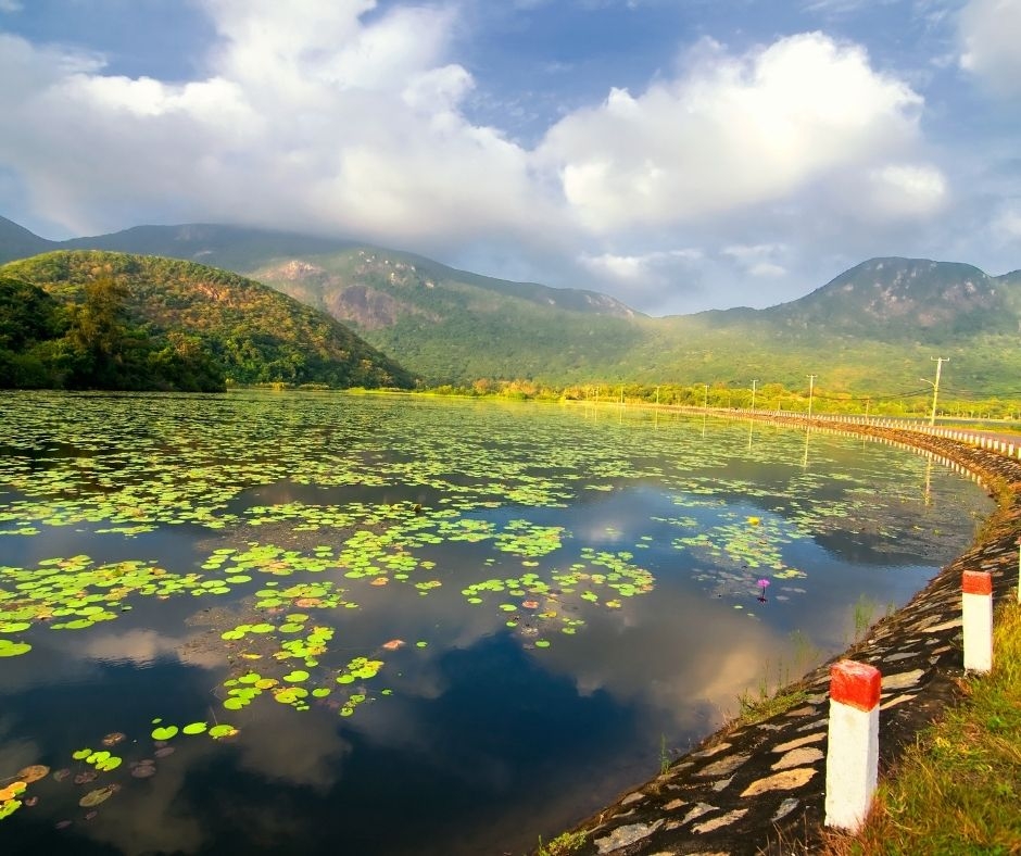 Photo Origin Vietnam