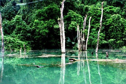 Cuc Phuong National Park in Ninh Binh province is one of ten most stunning national parks in Vietnam. Photo VOV