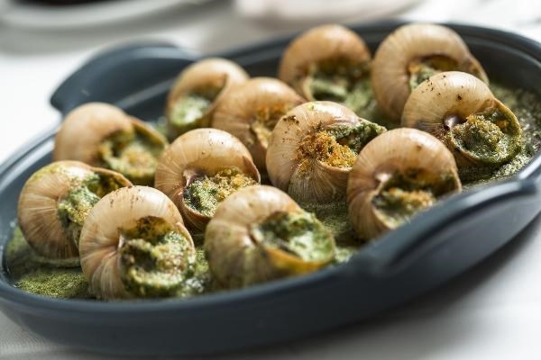 Easy and nutritious snail recipes