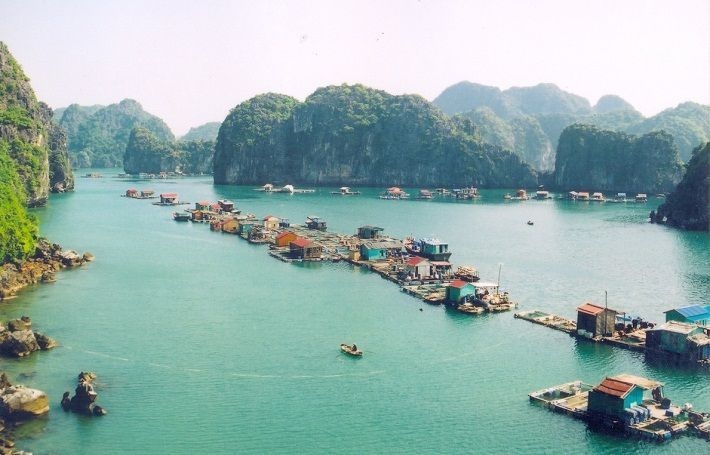 Photo Your Ha Long