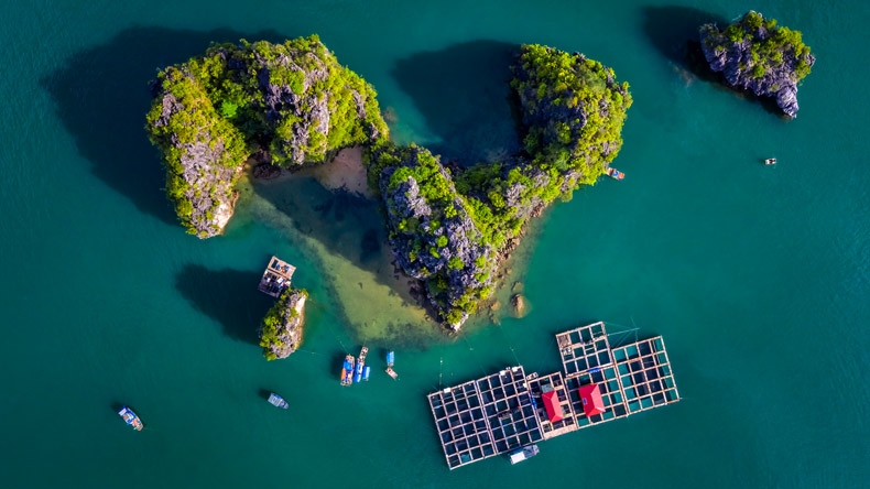 Photo Visit Ha Long