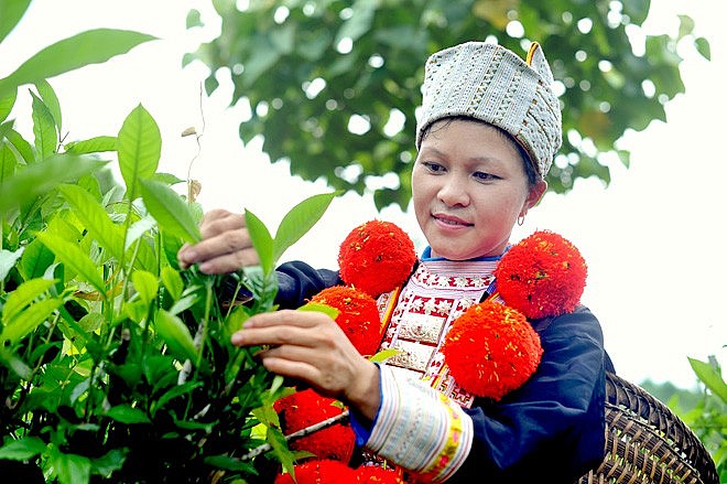 Drinking Tea: A Unique Culture Of Vietnamese People