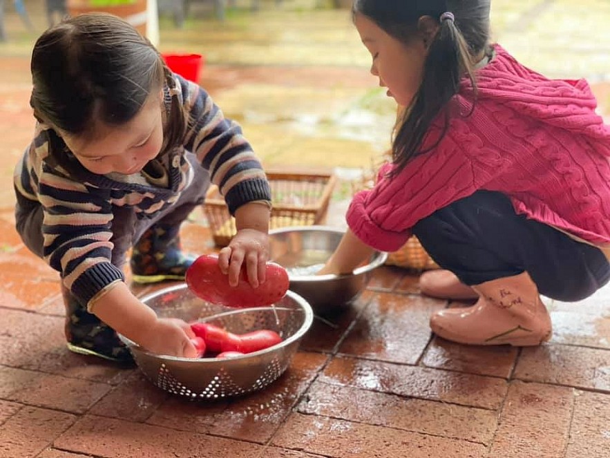 Beets by Tu Anh: Vietnamese Expat Grows Giant Produce in Australia