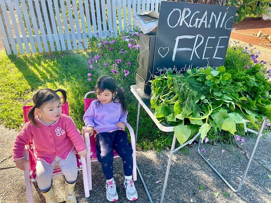 Beets by Tu Anh: Vietnamese Expat Grows Giant Produce in Australia