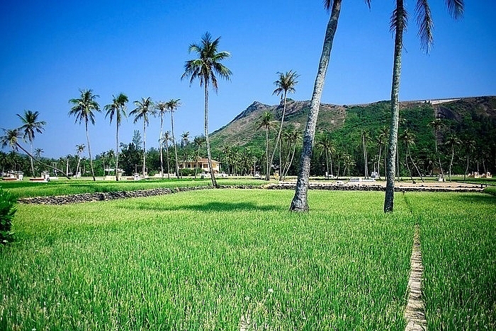 Stunning island in Quang Ngai boasts 2 volcanoes