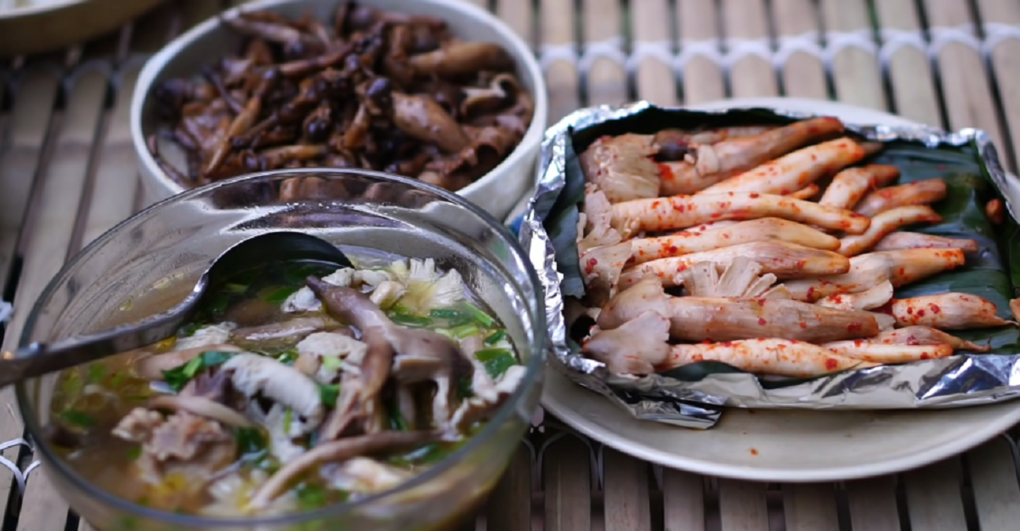 Termite mushroom – A gift of nature in rubber plantations of Binh Phuoc