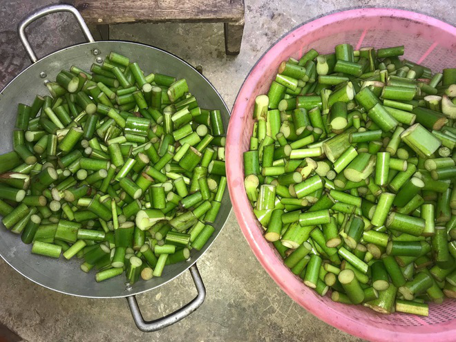 Pickled Indian taro: a must-try dish of Nghe An province