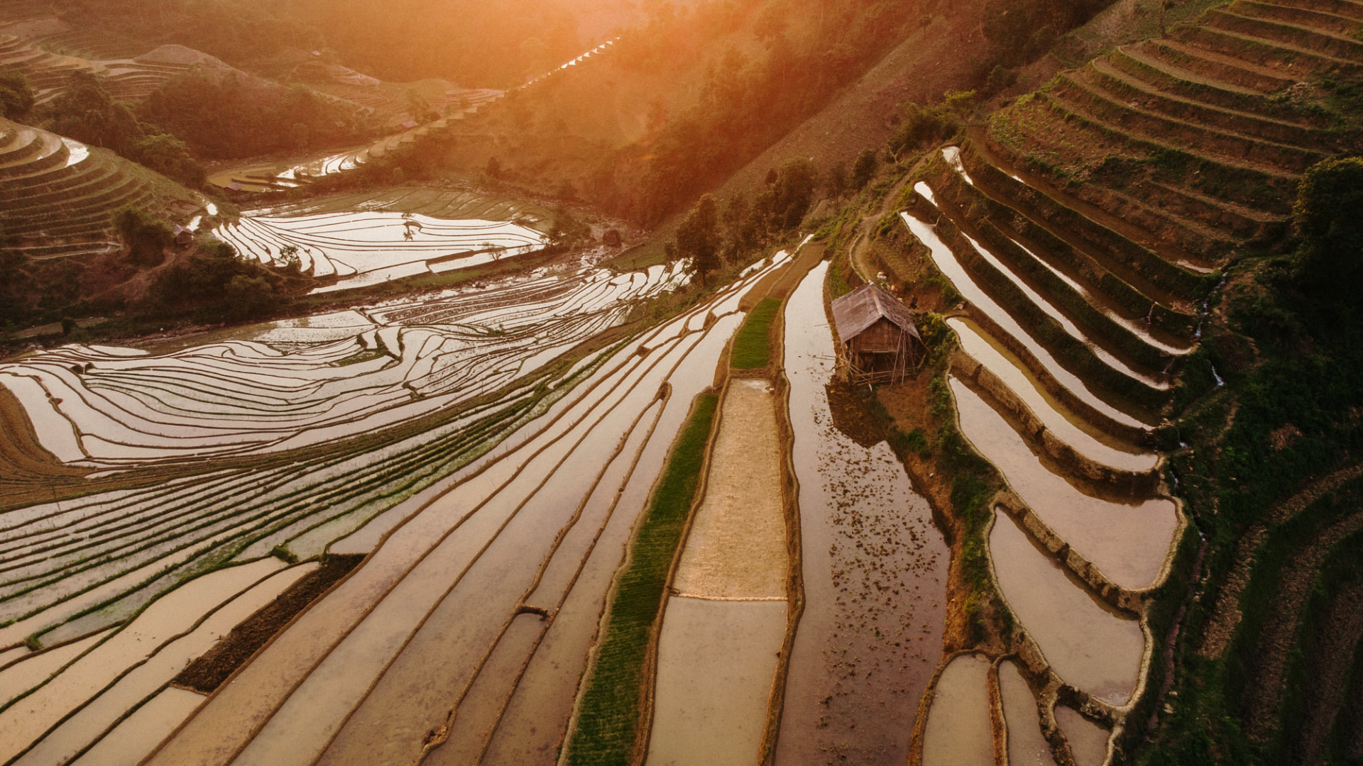 Russian Man Spends 6 Years Traveling Across Vietnam by Motorbike