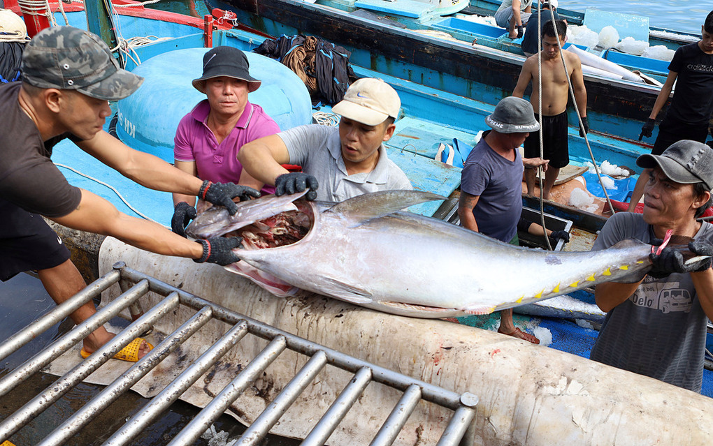 Aquatic Export Plummets Amid 4th Covid-19 Outbreak