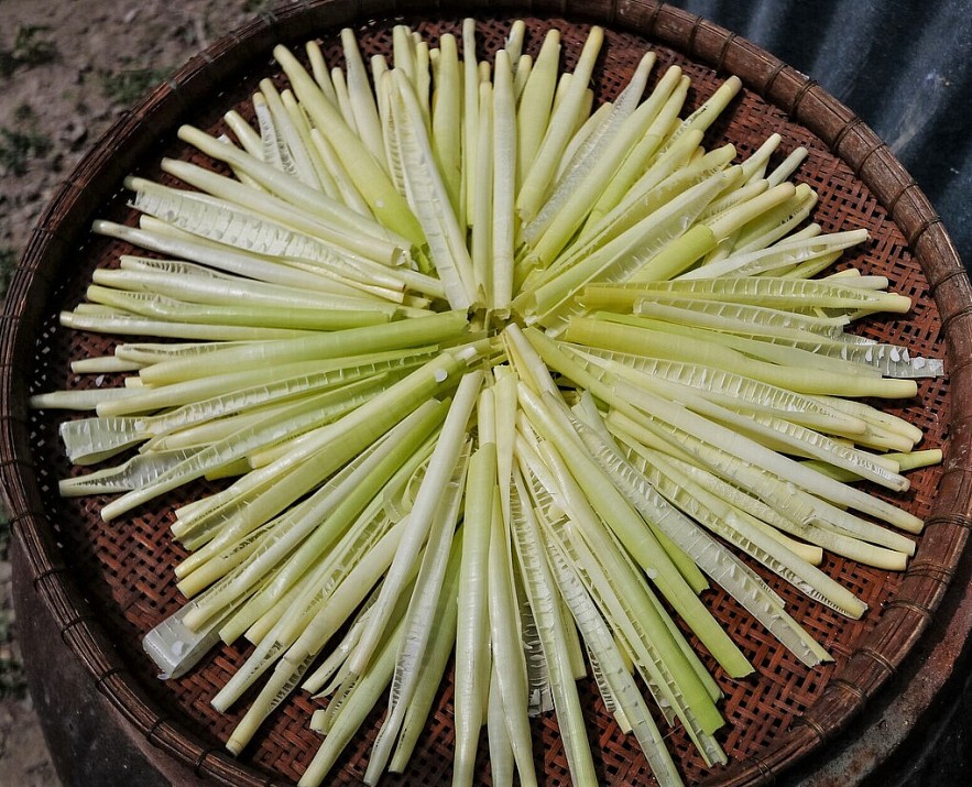 Three Specialties Used to be Seen as Weeds in Southern Vietnam