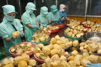 Vietnamese Products Expected to Succeed in Russia