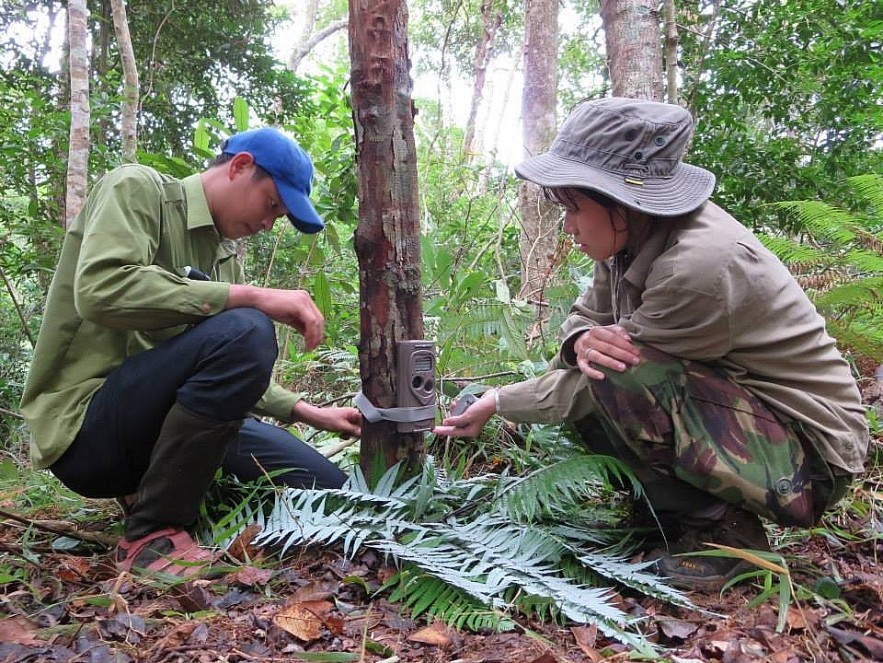 Vietnamese Woman Dedicates Career to Wildlife Conservation