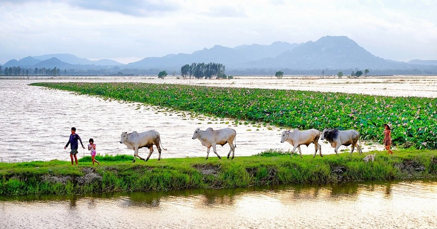 The Flood Season in An Giang Province