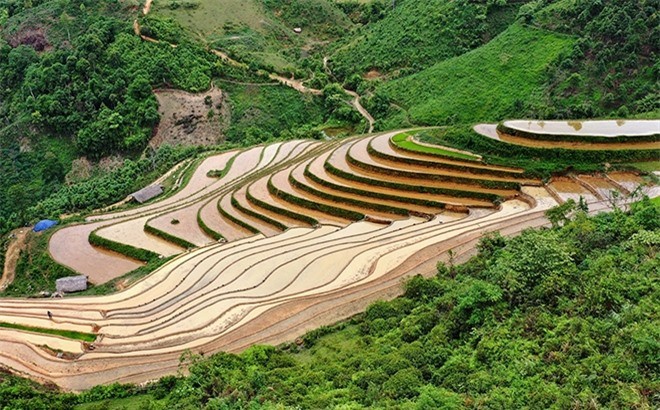 Beautiful Phong Du Thuong Terraced Fields in Yen Bai