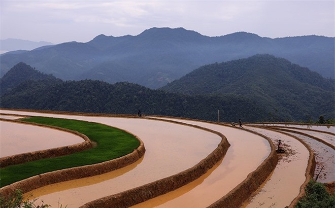 Beautiful Phong Du Thuong Terraced Fields in Yen Bai